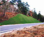 picture2.jpg (39862 バイト)