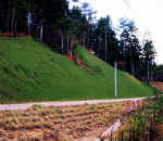picture3.jpg (38429 バイト)