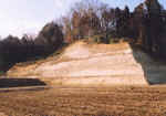 picture7.jpg (19671 バイト)