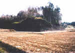 picture8.jpg (22575 バイト)