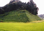 picture9.jpg (15951 バイト)