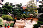 picture2.jpg (34880 バイト)