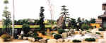 picture3.jpg (37202 バイト)
