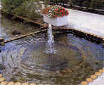 picture5.jpg (41288 バイト)
