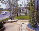 picture6.jpg (40810 バイト)