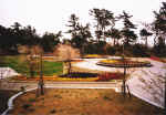 picture7.jpg (85581 バイト)